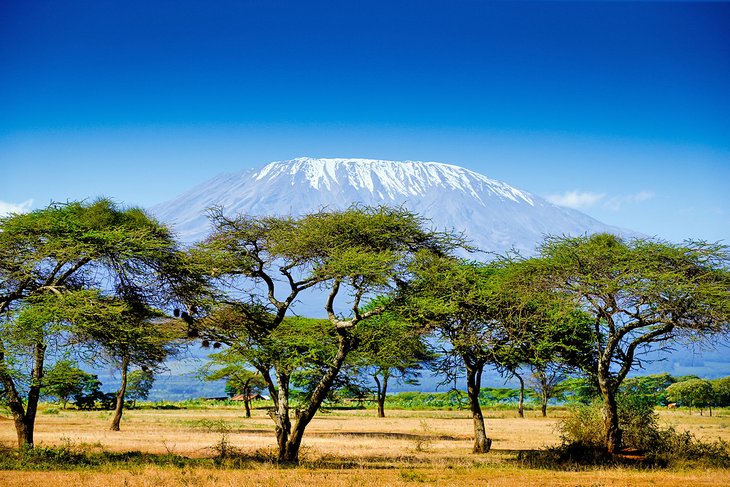 Discover New Horizons with Vacation Masters